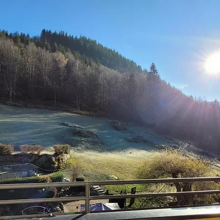 Obergfell