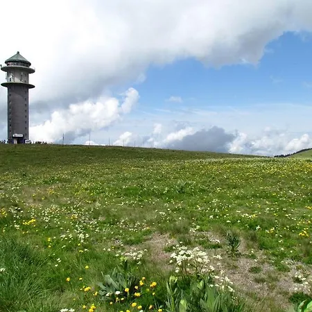 Obergfell Brandenberg