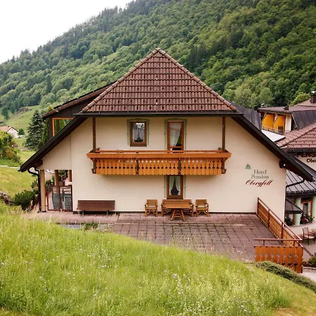 Obergfell 3*