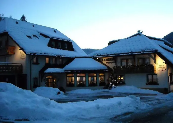 فندق Obergfell 3*